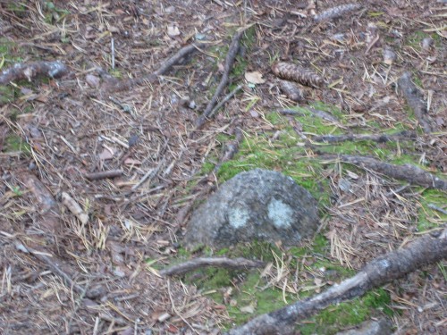 Small ghost stone along the path