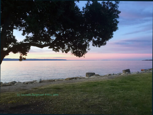 Dawn pink hazy light over the inlet.